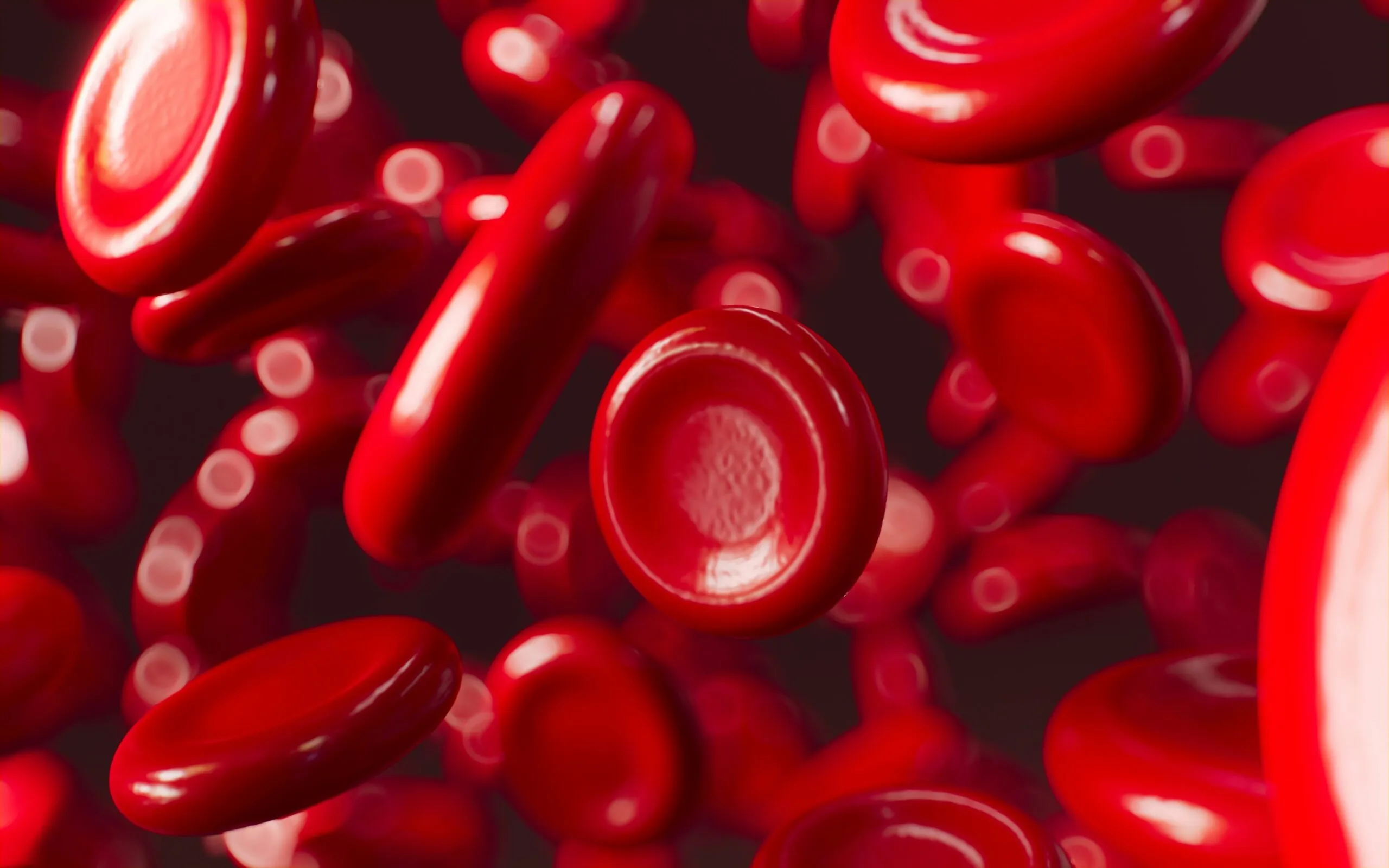 The Blood Revolution: How Aging Lives in Your Blood — And How to Reverse It