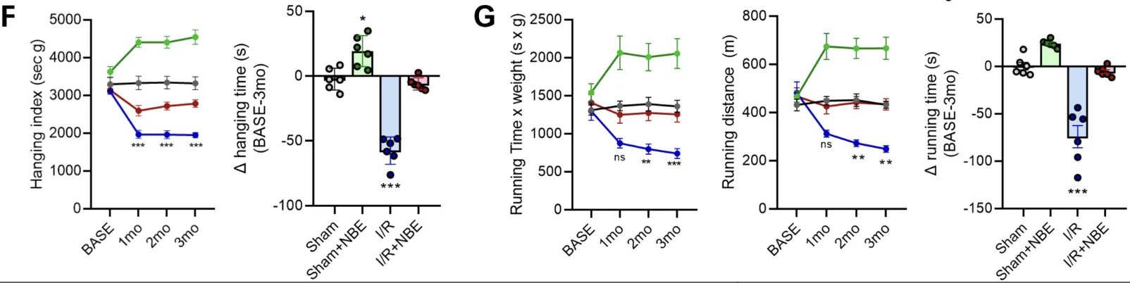 Grip strength and treadmill performance across three months. Healthy animals given plasma exchange improved above baseline; injured-untreated animals declined sharply; injured-treated animals held near baseline.
